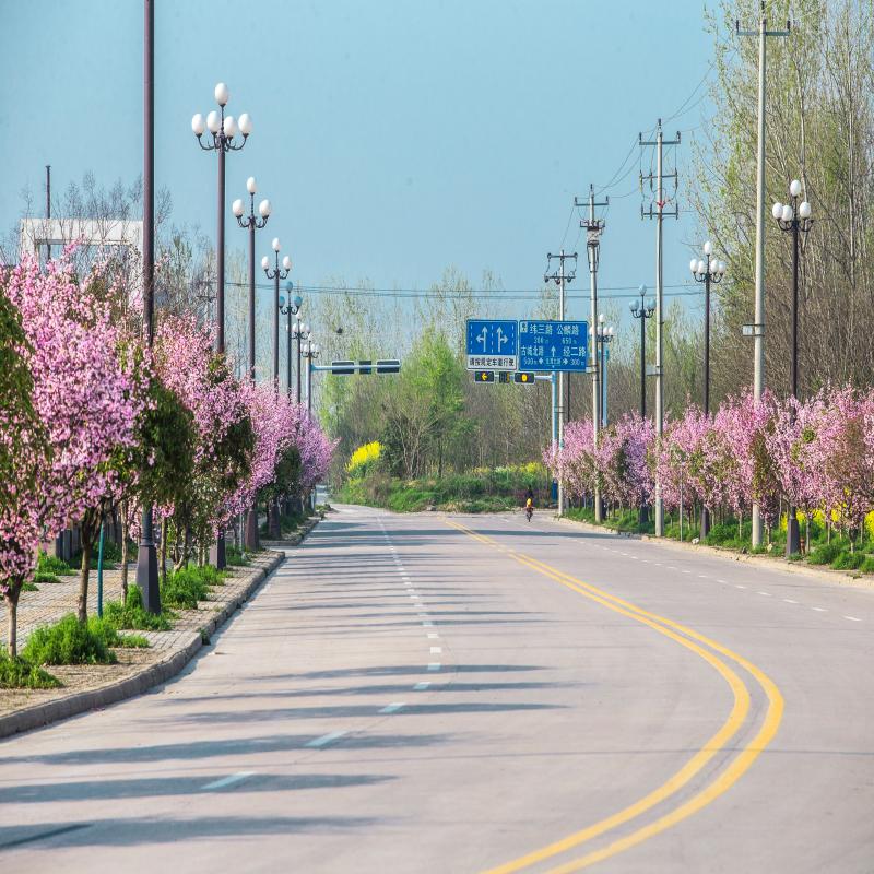沿途皆風(fēng)景，欣賞舒城經(jīng)濟(jì)開發(fā)區(qū)“路之美”