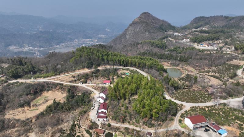 曉天鎮(zhèn)：蒿香四溢小山村